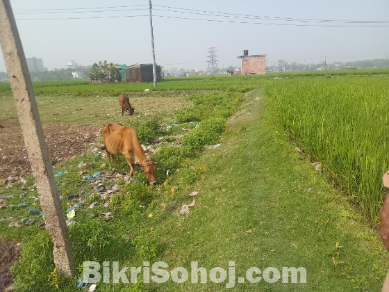 ১০ কাঠা জমি বিকয় হবে